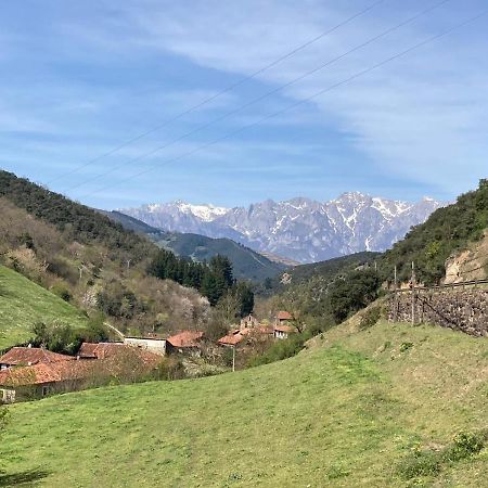 Apartamento Picos De Europa Cabezón de Liébana Eksteriør billede