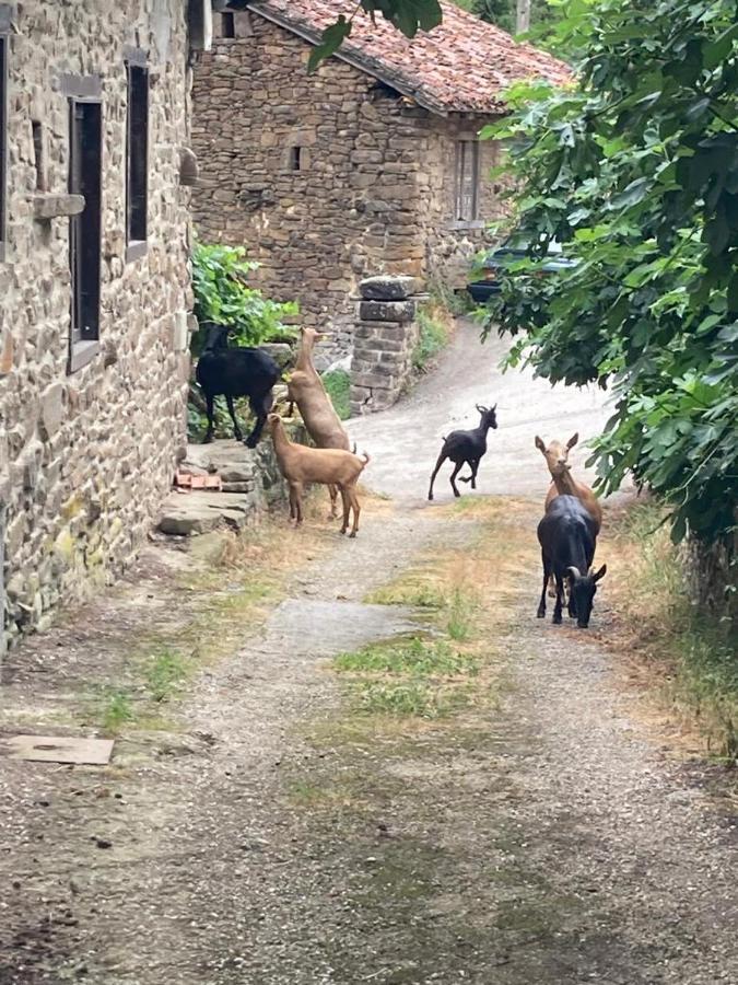 Apartamento Picos De Europa Cabezón de Liébana Eksteriør billede